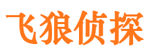 小河外遇调查取证